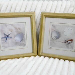 Set of Two Framed Seashell Art Prints